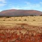 The biggest rock in the World