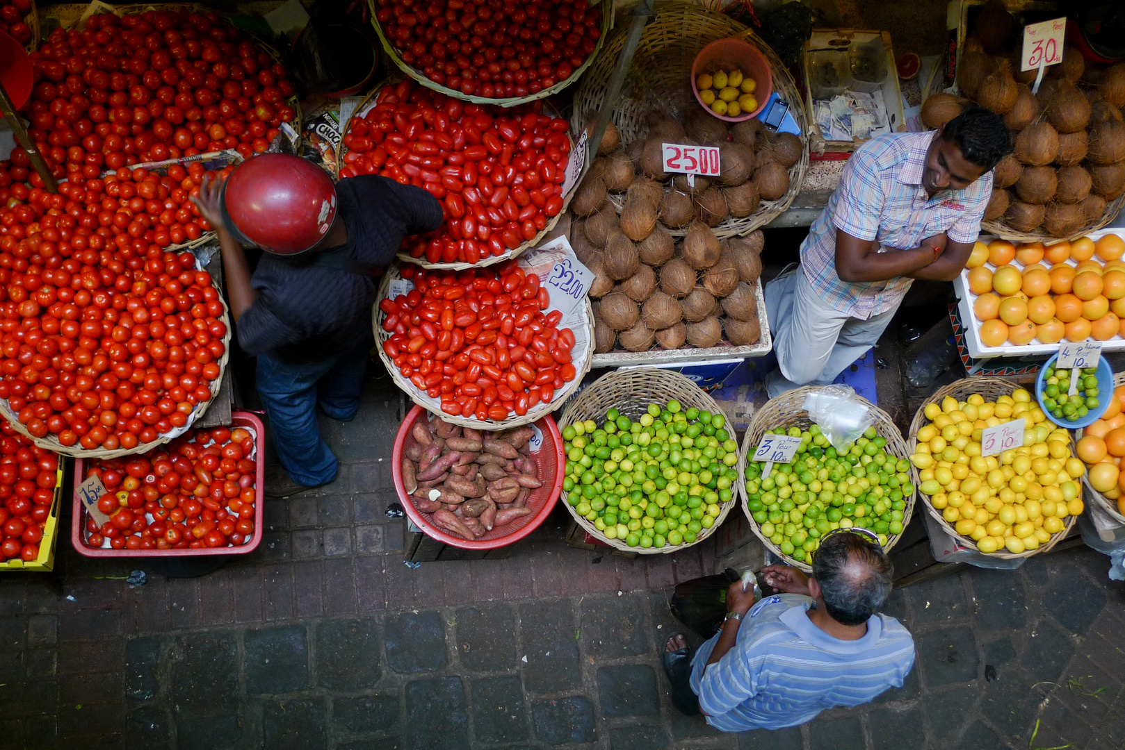 The Biggest Tomato