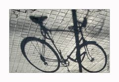 the bike shadow