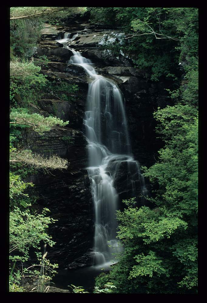 The birks of Aberfeldy