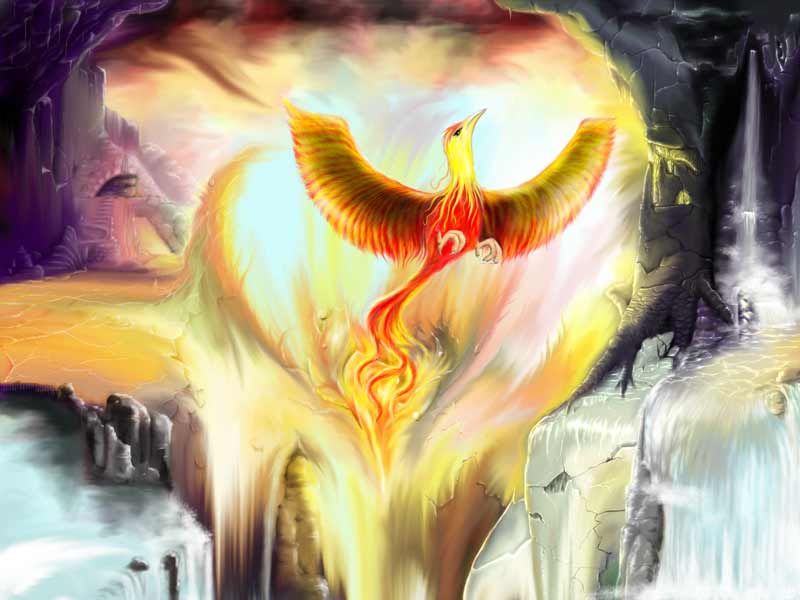 The birth of the phoenix