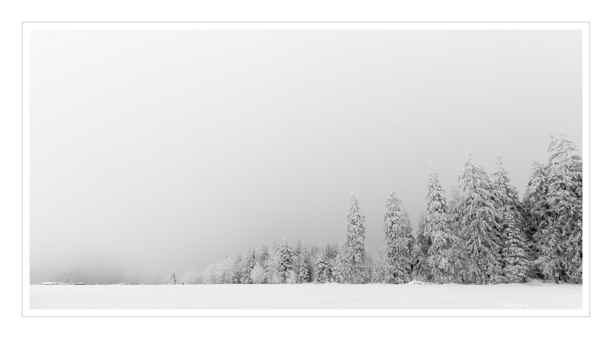 The Black Forest covered in snow