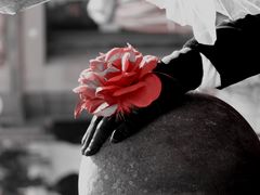 the black hand and red rose