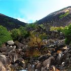 *** The Black Mountain / near Cook Town ***