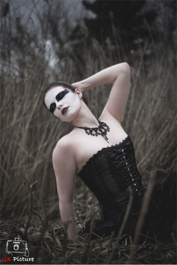 The Black Swan 1