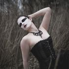 The Black Swan 1