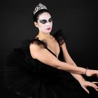 The Black Swan