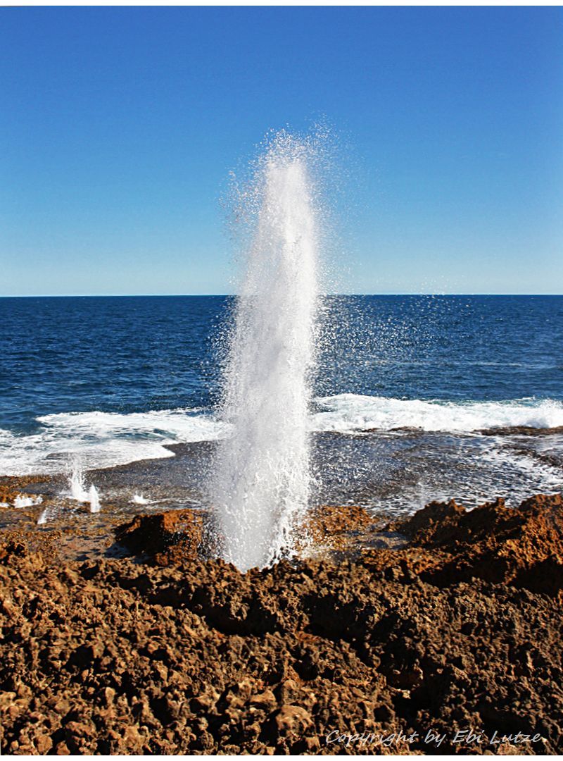 * the blow holes of point quobba *