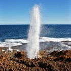 * the blow holes of point quobba *