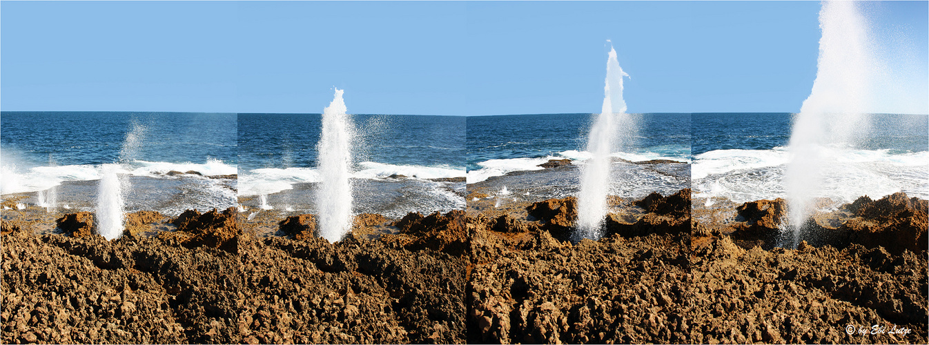 *** The Blow Holes of Point Quoppa ***