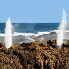 *** The Blow Holes of Point Quoppa ***