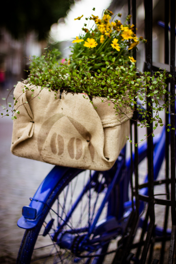 The Blue Bike