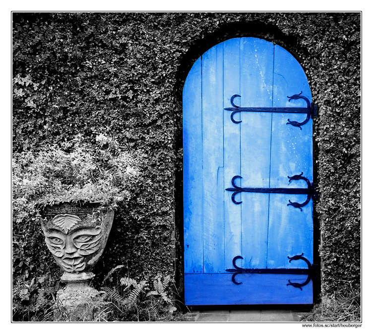 The Blue Door