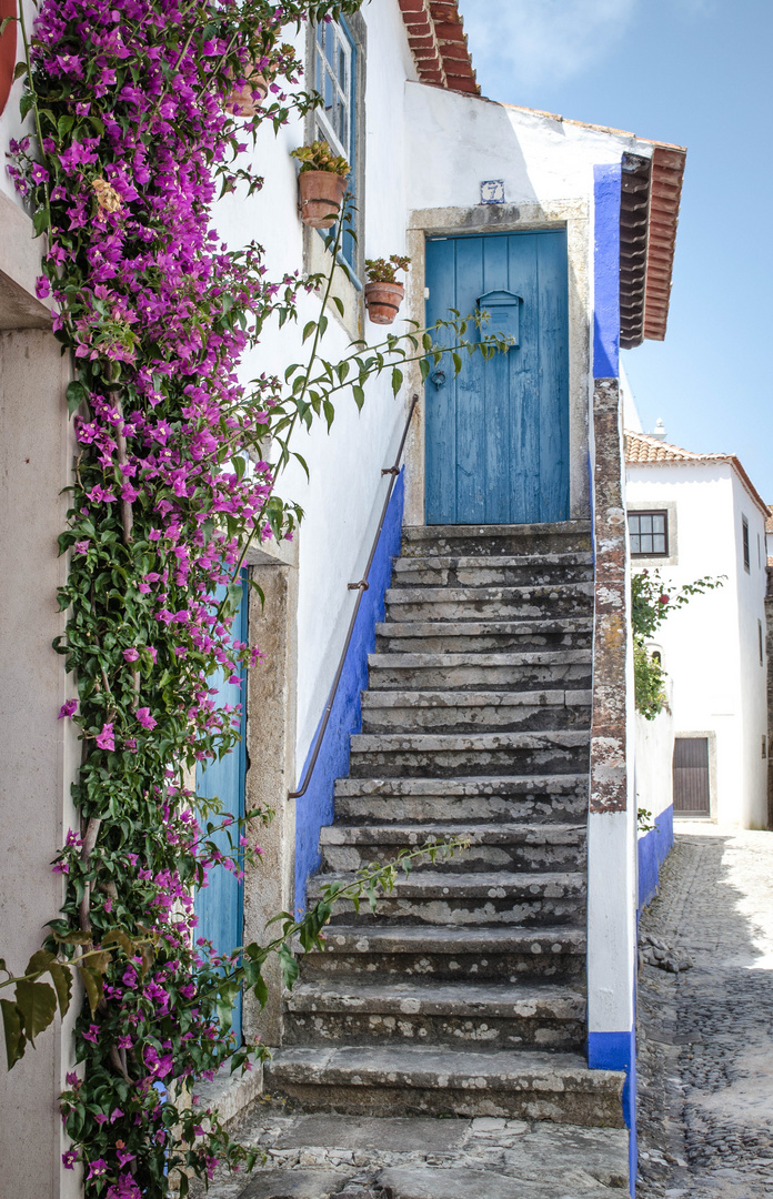 The Blue Door