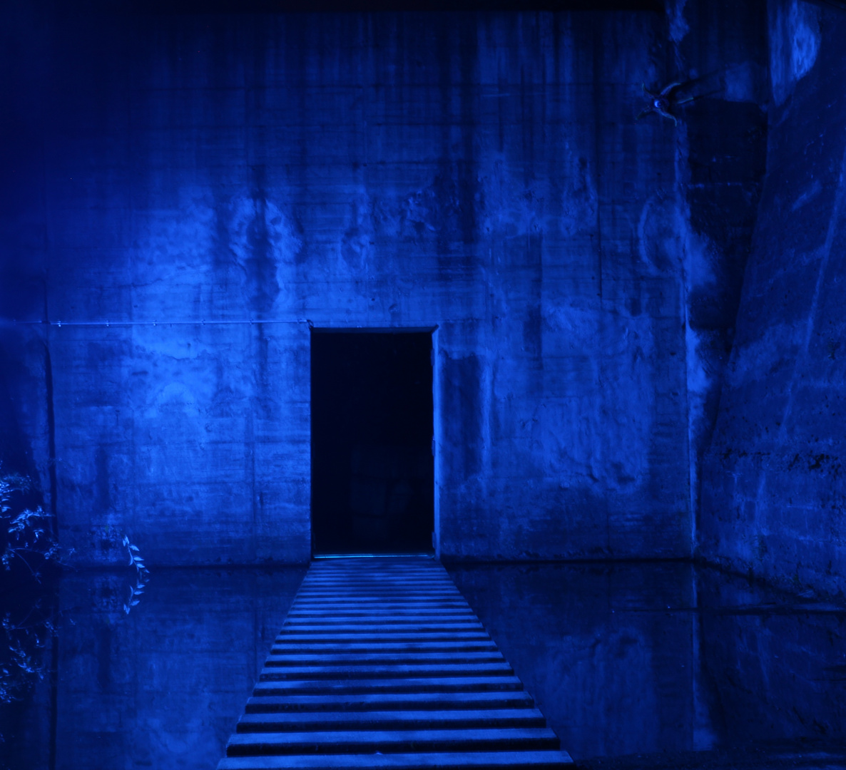 The Blue Entrace - LaPaDu 2014