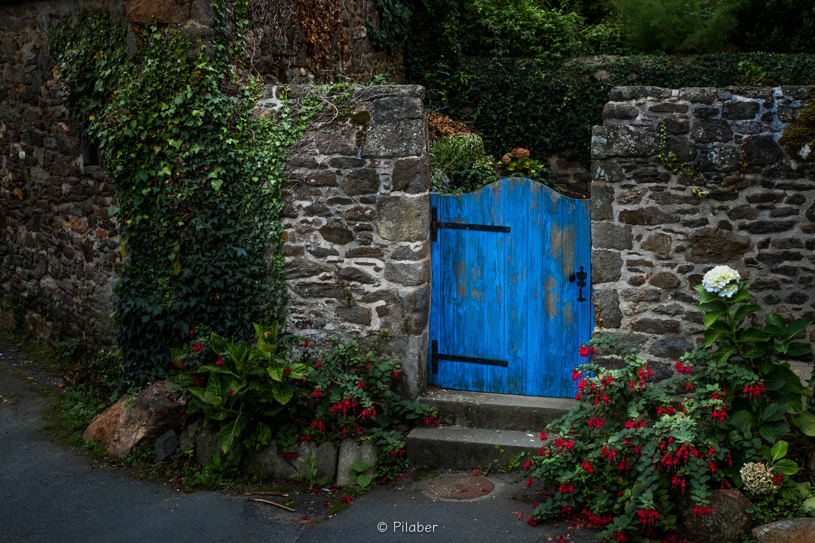 The blue garden door