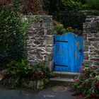 The blue garden door