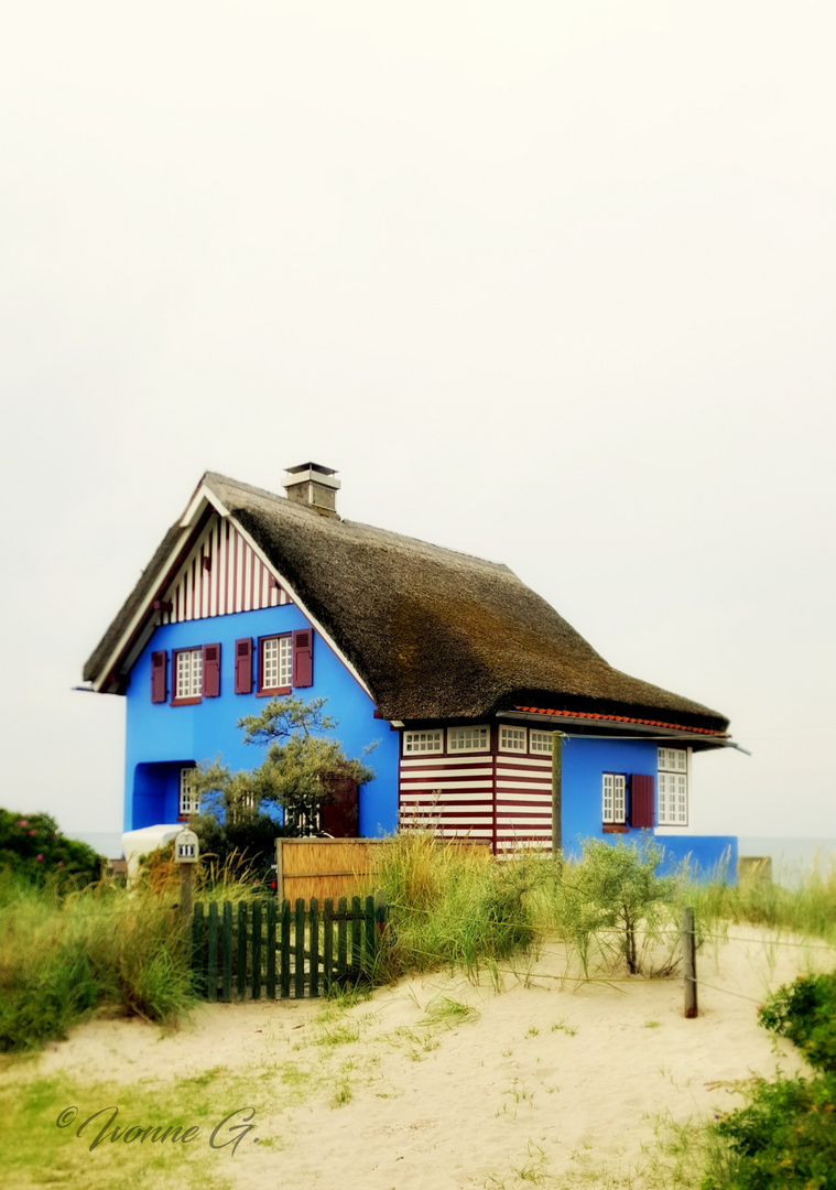 The Blue House