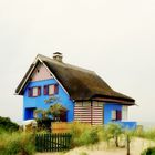 The Blue House