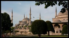 The Blue Mosque