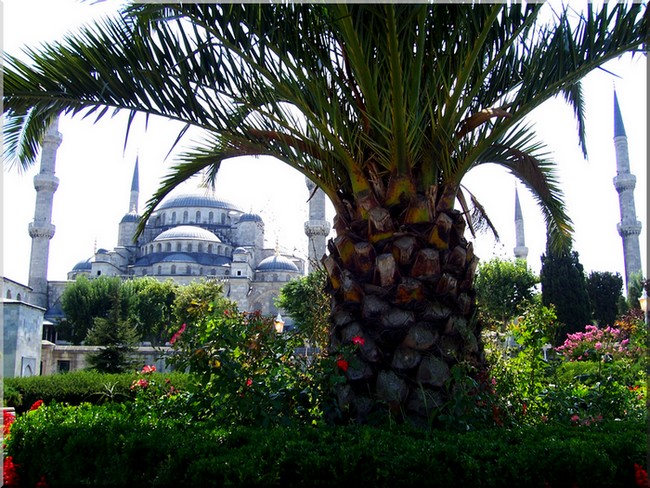 the Blue Mosque