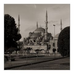 The Blue Mosque II