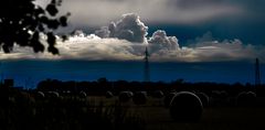 the blue summer evening.............