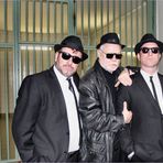 THE BLUES  BROTHERS (2)