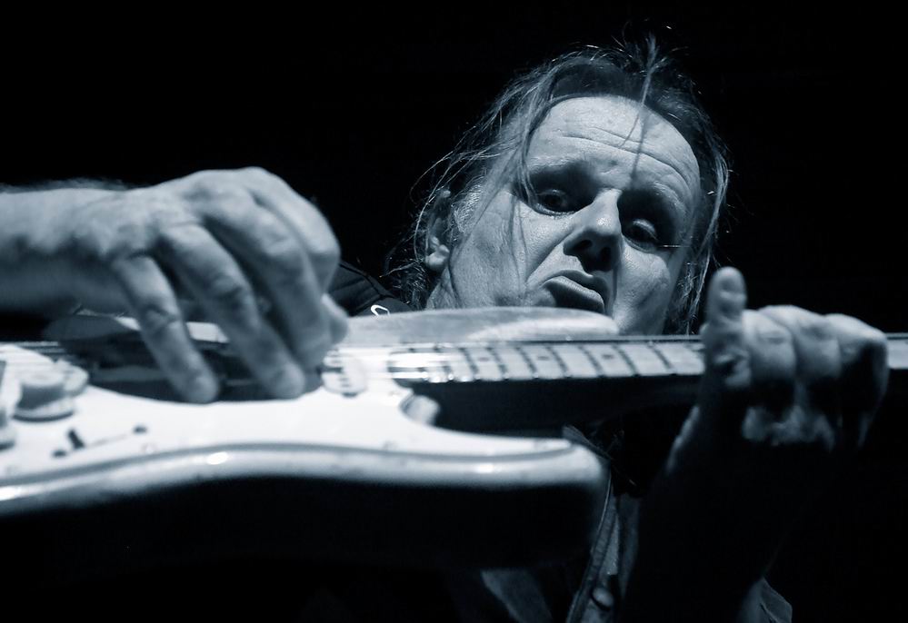 the blues - walter trout