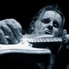 the blues - walter trout