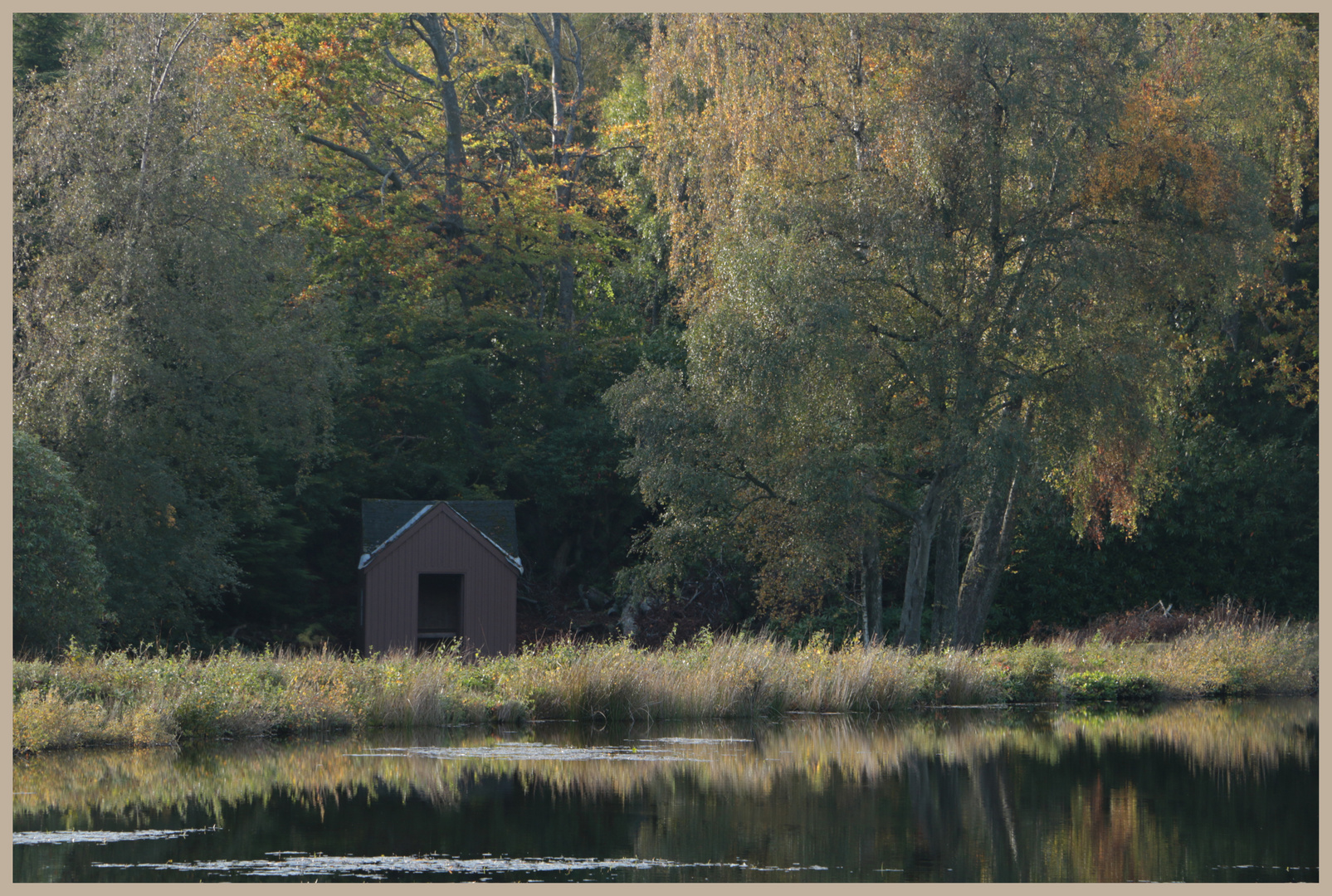 the boathouse 5 at nellys moss lake