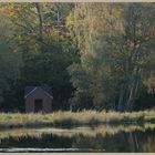 the boathouse 5 at nellys moss lake