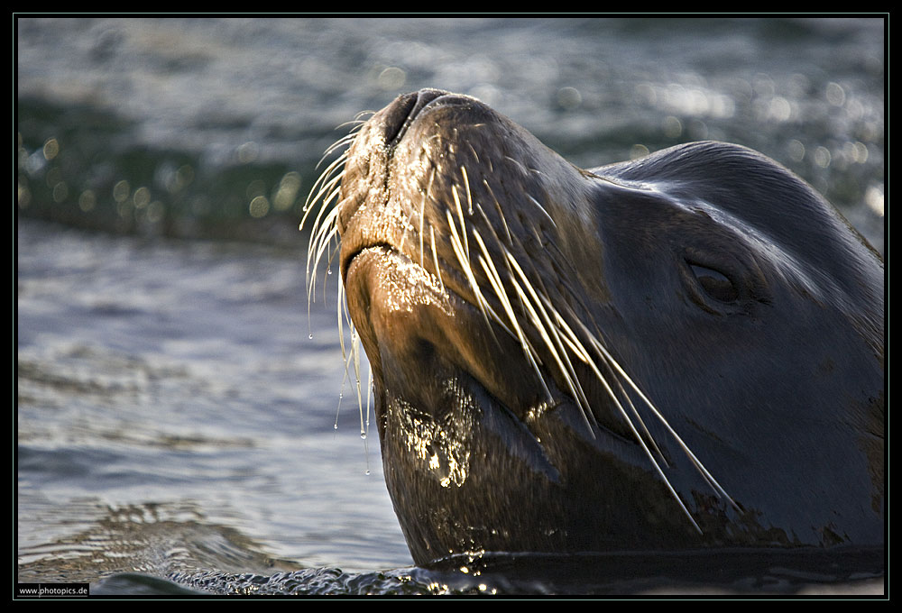 The Body in the water and your nose in the sun