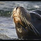 The Body in the water and your nose in the sun