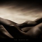 The bodyscape