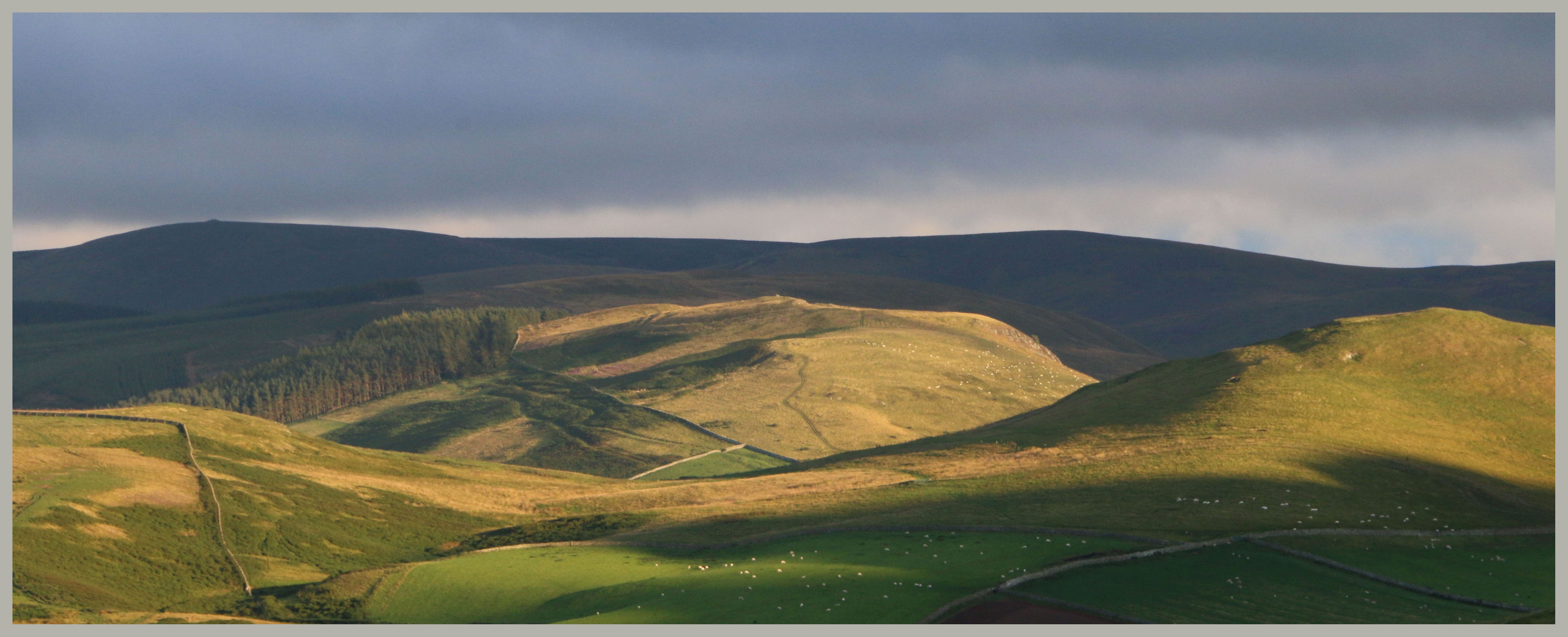 the Border Ridge of the cheviot hills evening 2