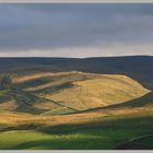 the Border Ridge of the cheviot hills evening 2