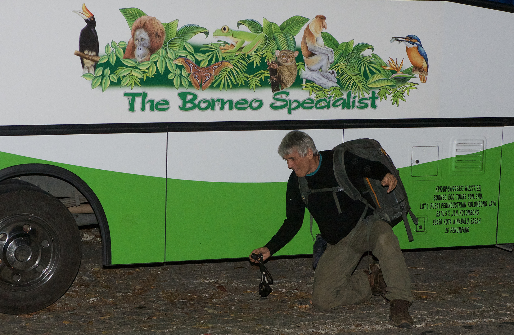 The Borneo Spezialist