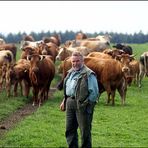 the boss and the cows ...