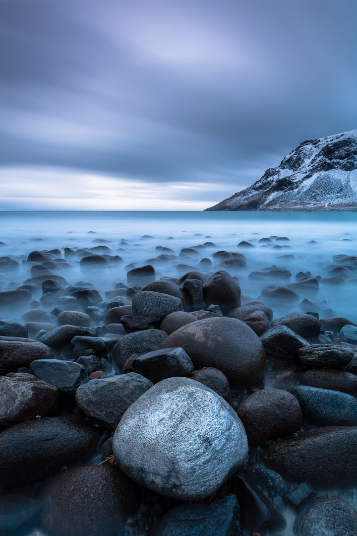 The Boss - Lofoten