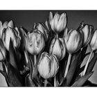 the bouquet of tulips_03