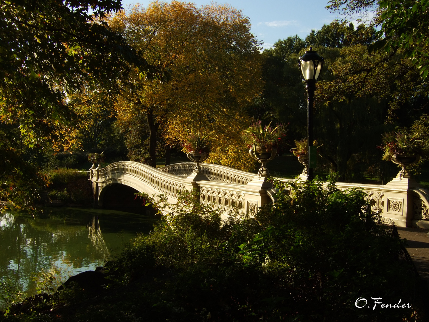 The Bow Bridge - Central Park