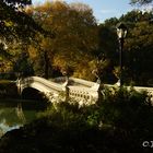 The Bow Bridge - Central Park