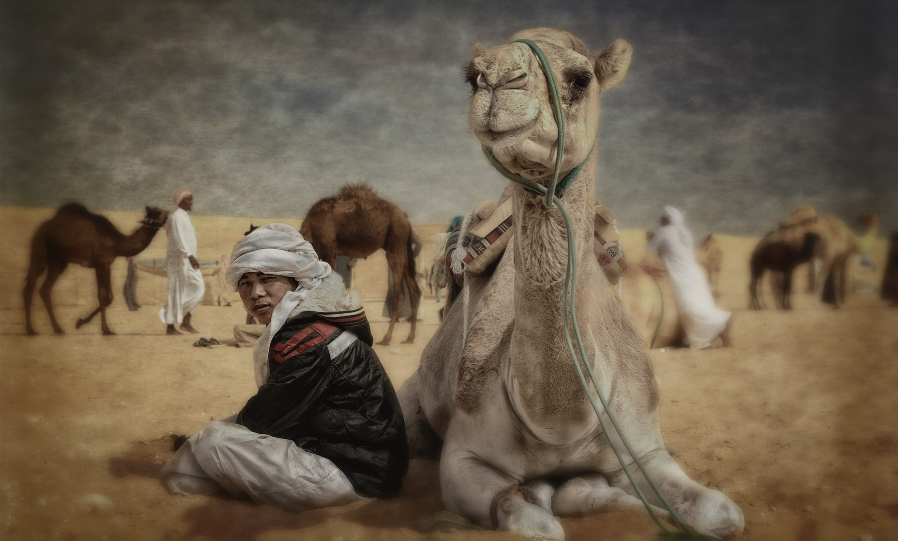 the boy and his camel