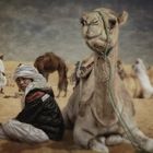 the boy and his camel