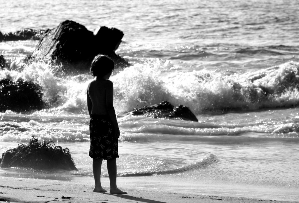 The boy and the sea