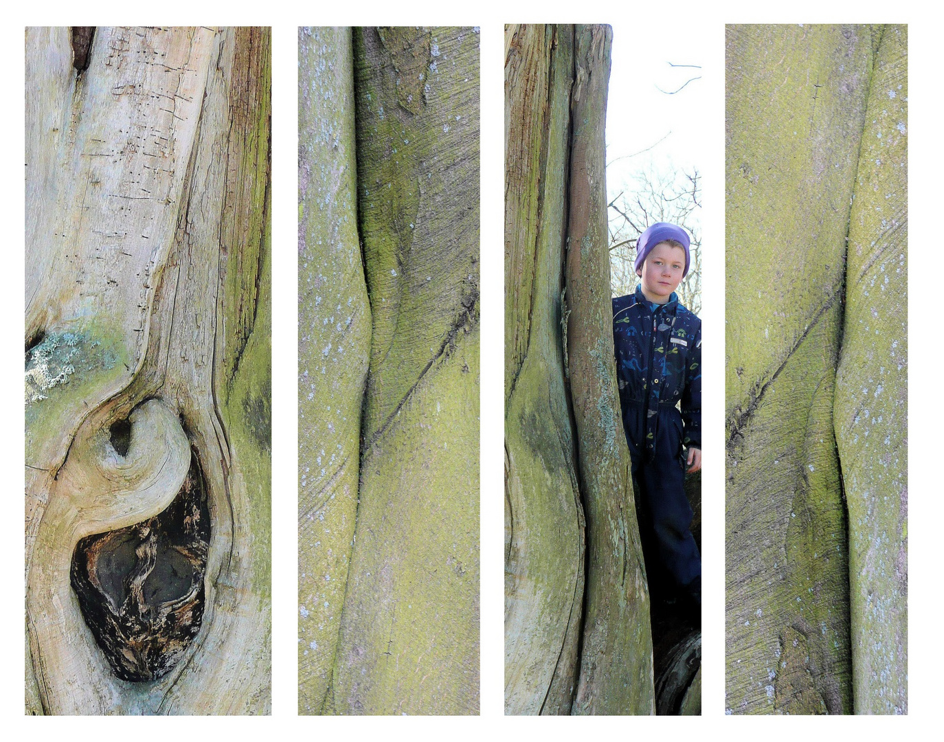 The boy in the trees