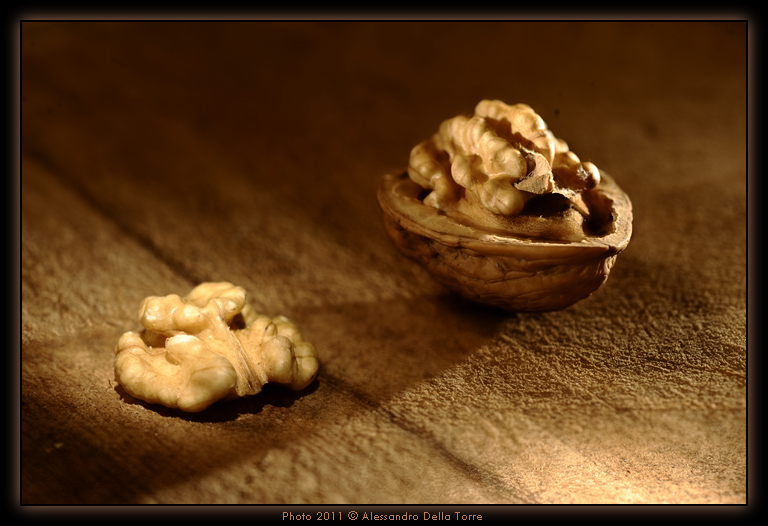 The brain of the Walnut