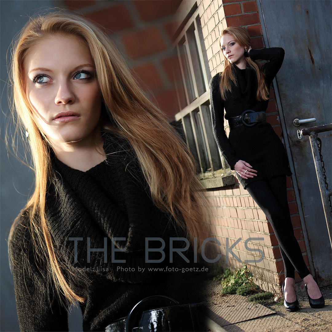 The Bricks