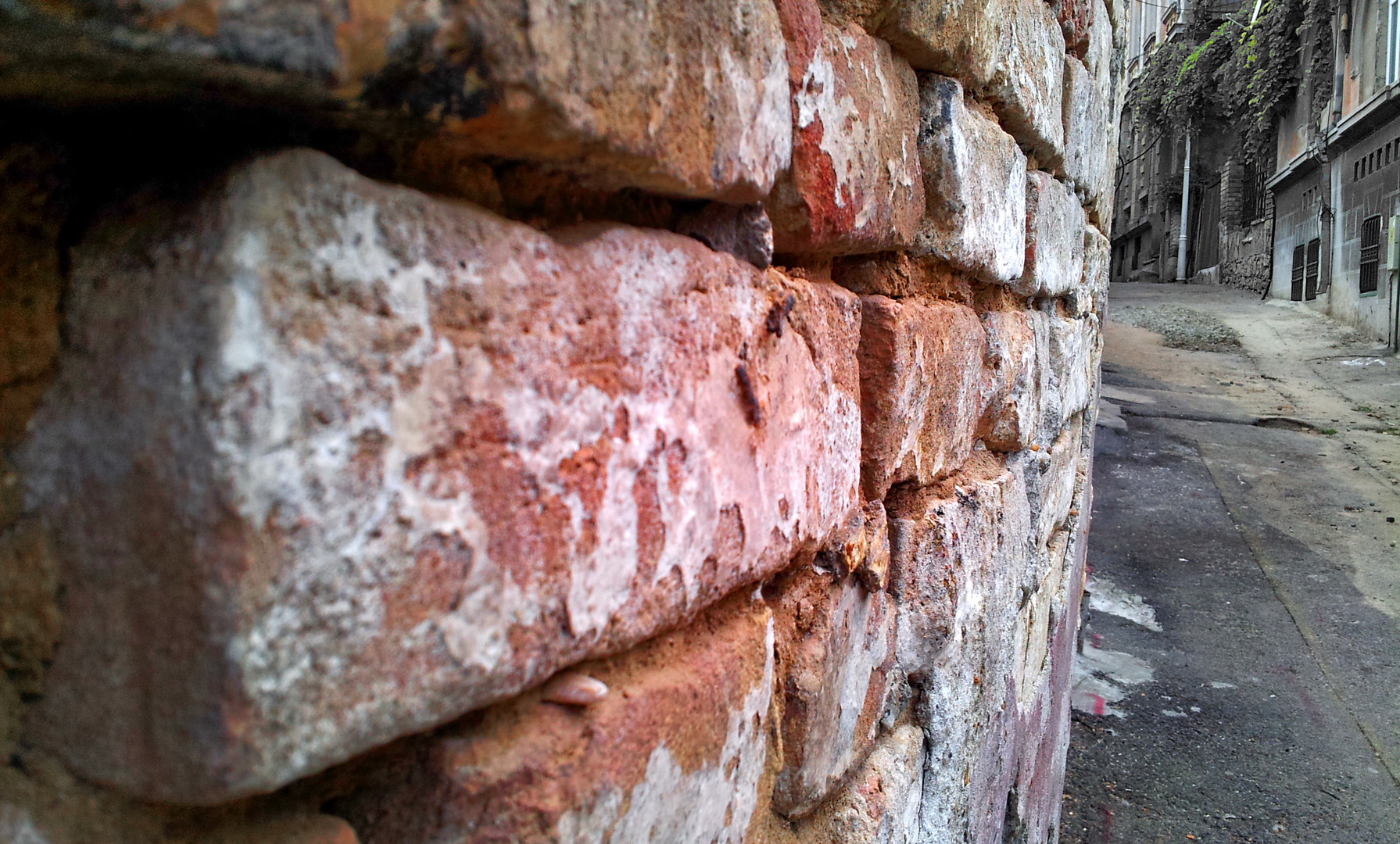 The bricks wall